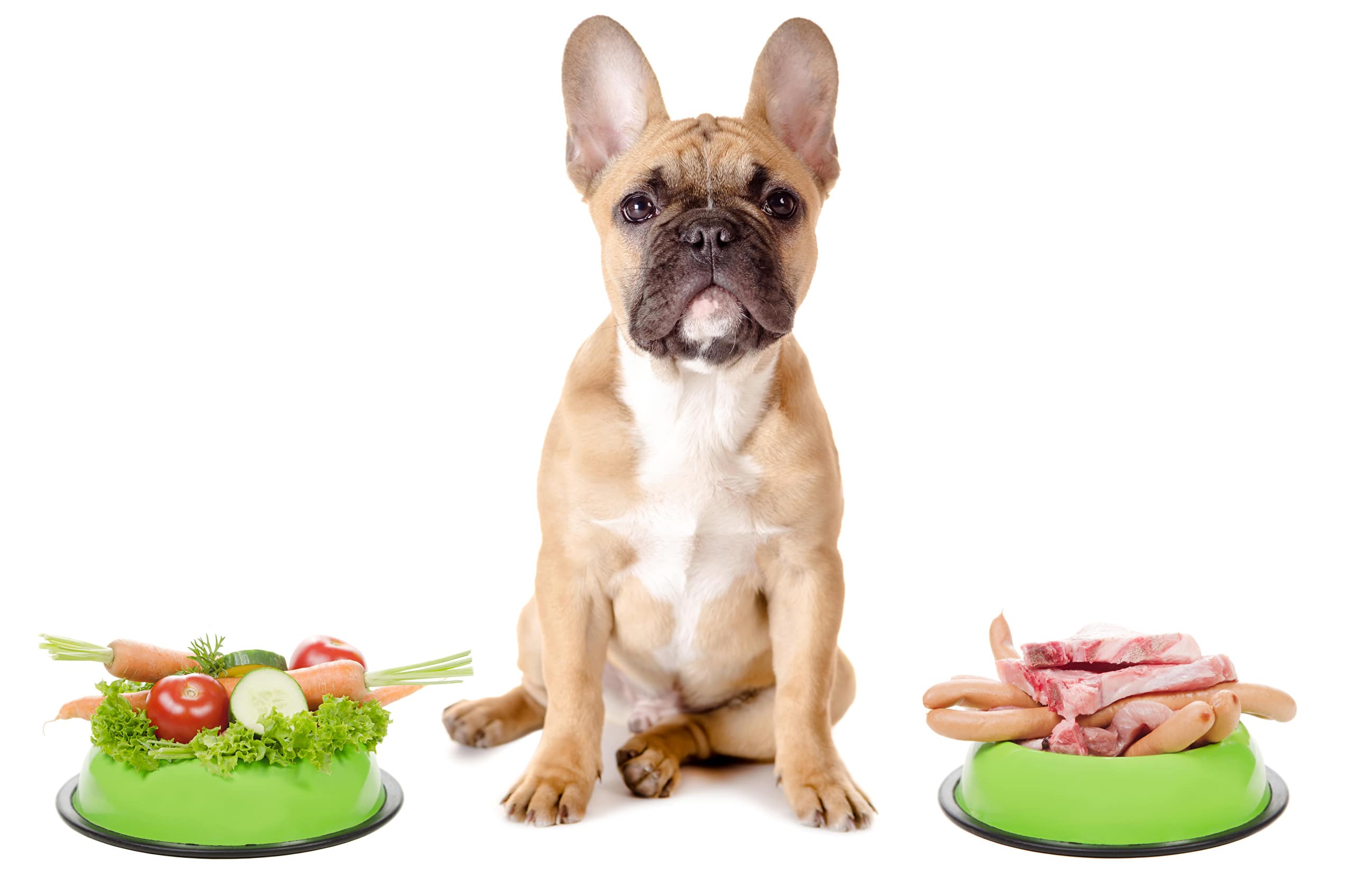Можно кормить собак рыбой. Французский бульдог. Еда для собак. Собака кушает. Правильное питание для собак.